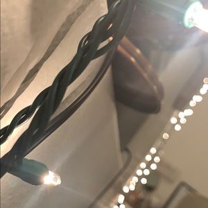 Meet your Posher, Bella